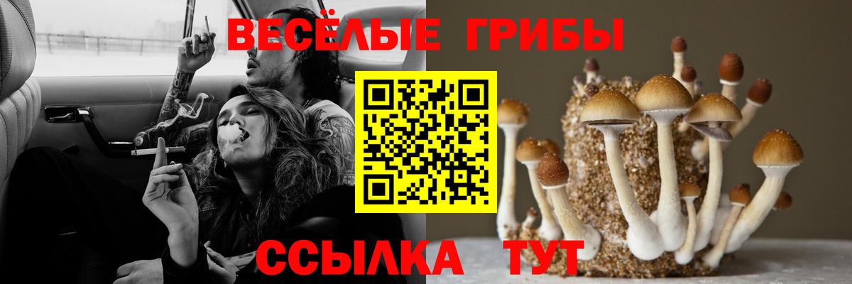 Галлюциногенные грибы ЛСД  Вход с VPN  Майский 